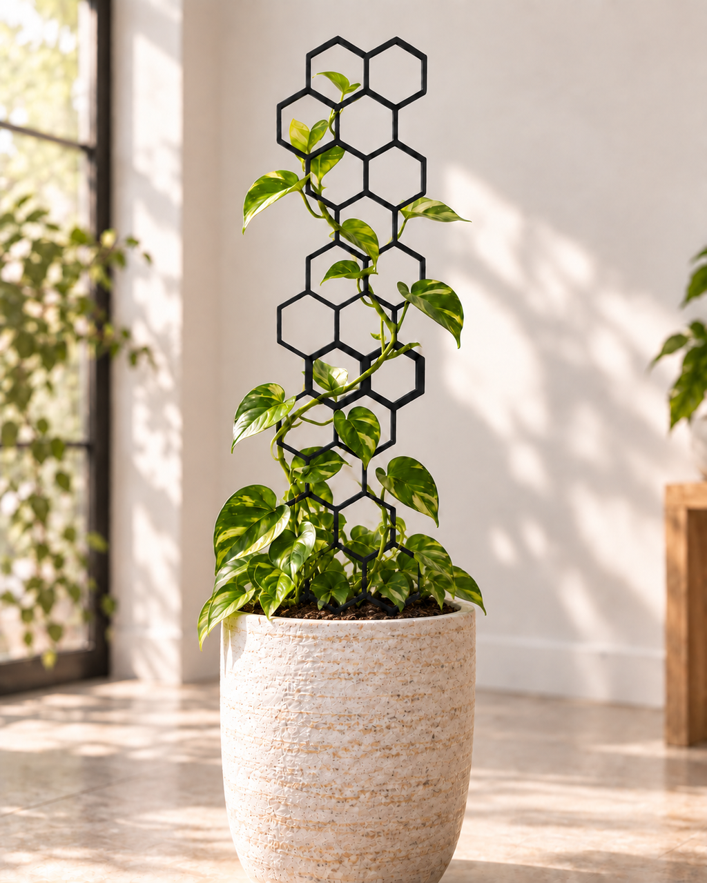 Honeycomb Plant Support