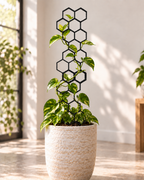 Honeycomb Plant Support
