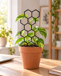 Honeycomb Plant Support