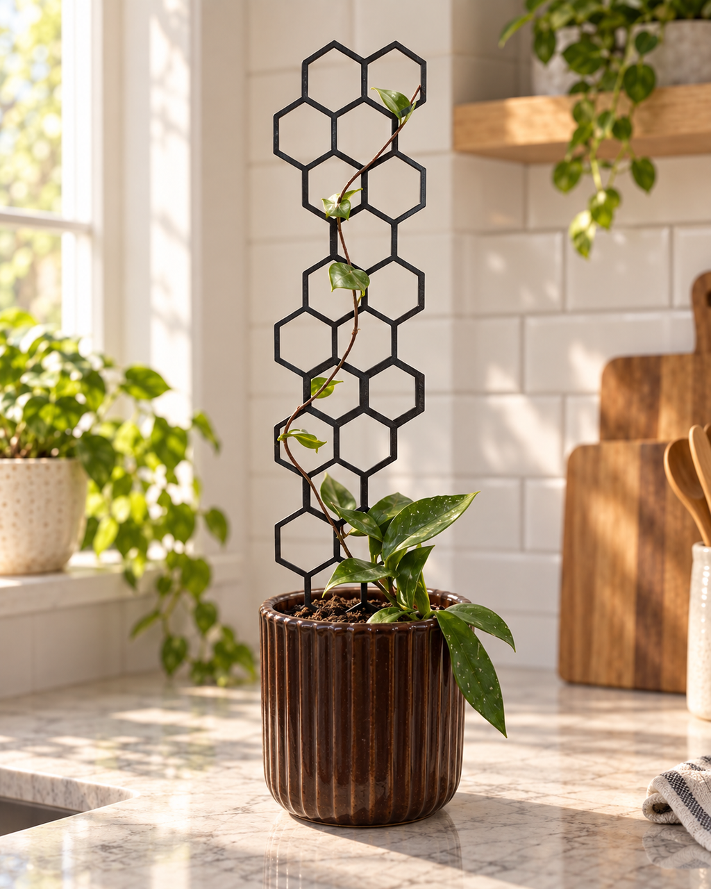Honeycomb Plant Support