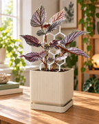 Honeycomb Plant Support