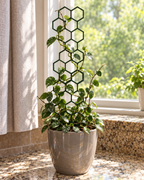 Honeycomb Plant Support