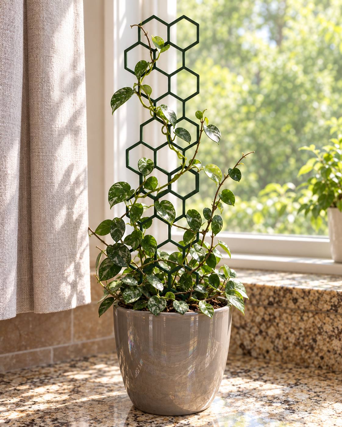Honeycomb Plant Support
