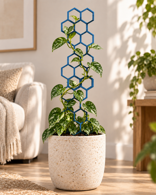 Honeycomb Plant Support