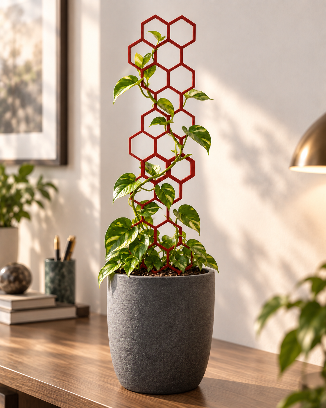 Honeycomb Plant Support