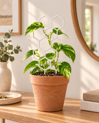 Honeycomb Plant Support