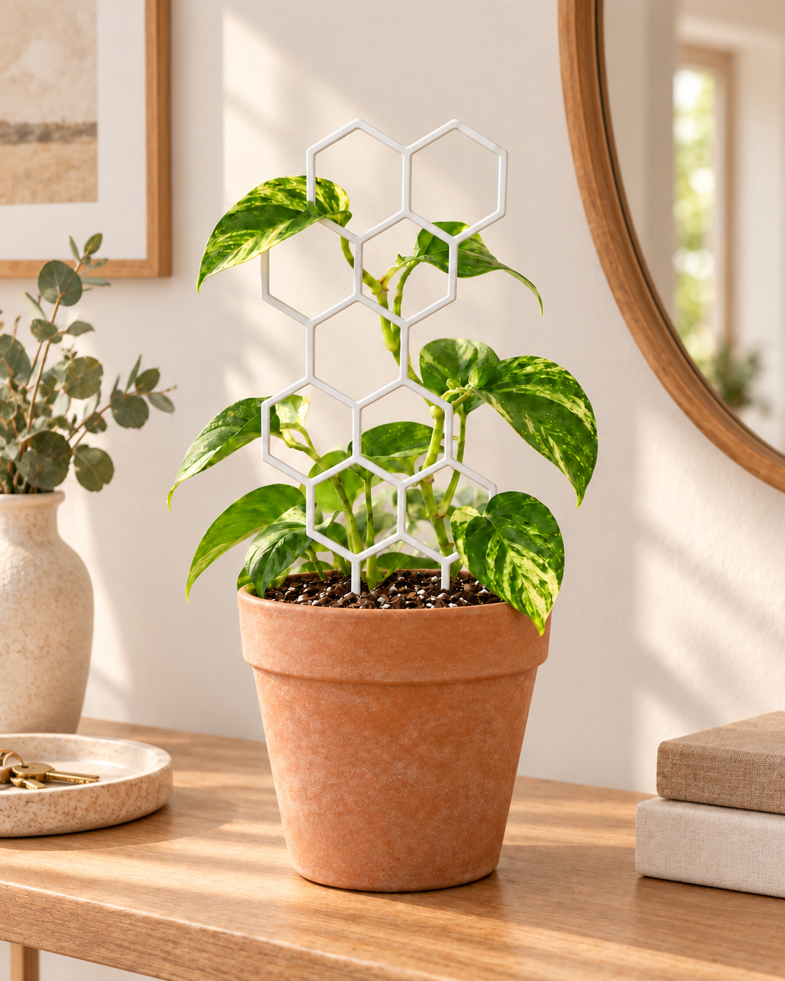 Honeycomb Plant Support