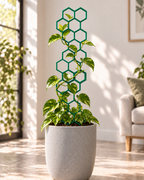 Honeycomb Plant Support